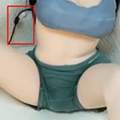standard hip joint