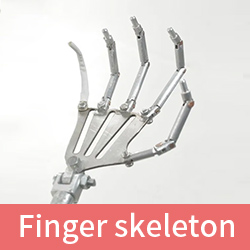 vinger skelet