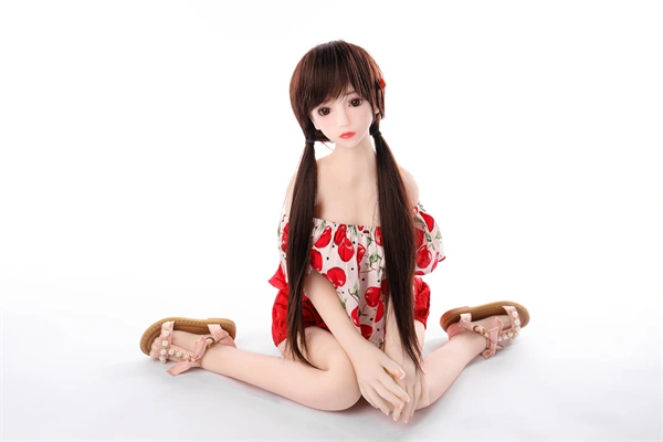 sexual companion dolls